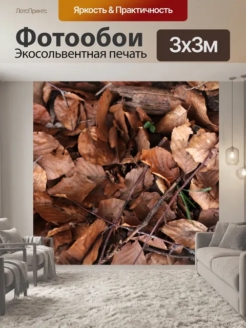 Фотообои Leaves