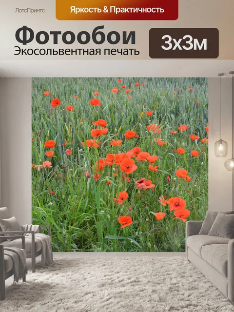 Фотообои Красные цветы мака