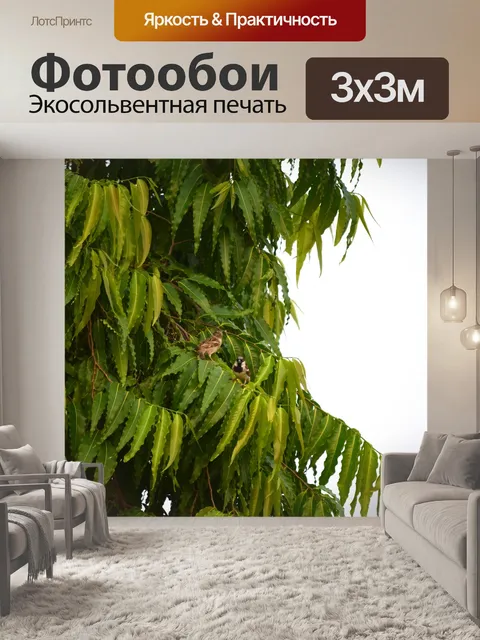 Фотообои Маленькие воробьи