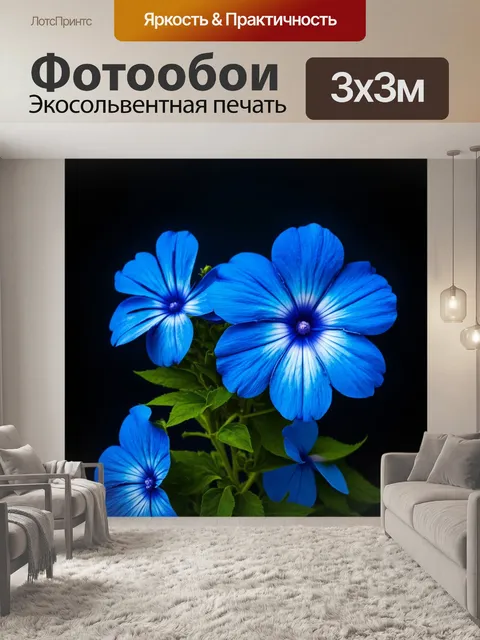 Фотообои большие синие цветы на темном фоне