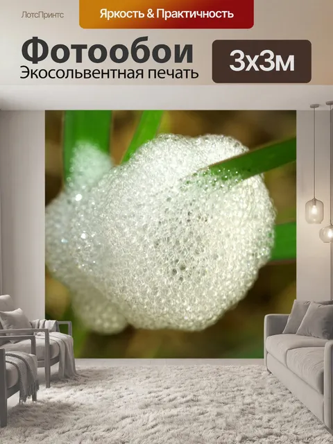Фотообои Капля воды на листе