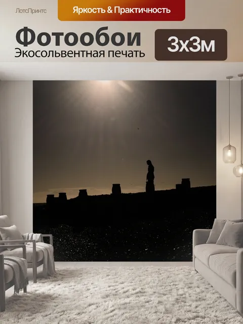 Фотообои Силуэт