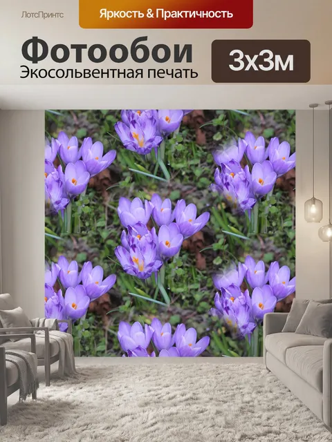 Фотообои Графика