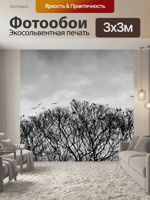 Фотообои Птица