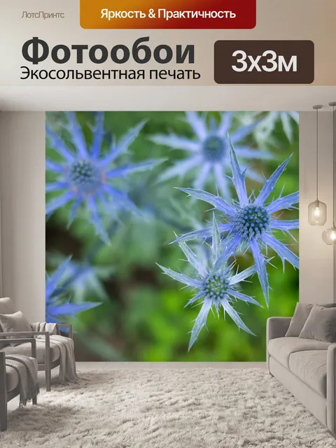 Фотообои Цветы