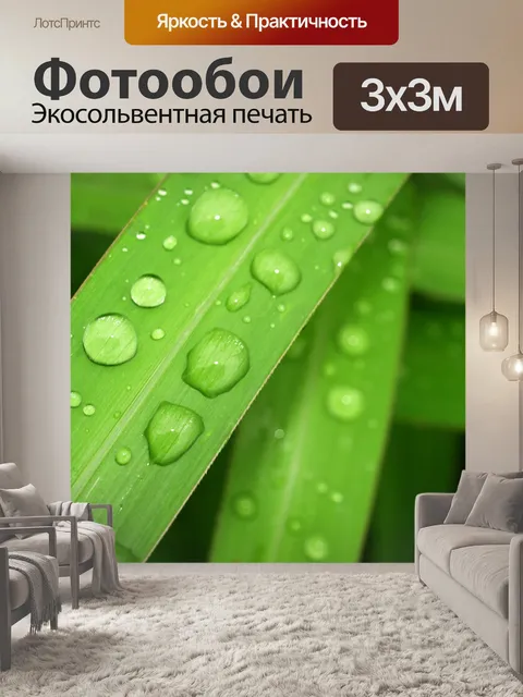 Фотообои Капля воды на листе