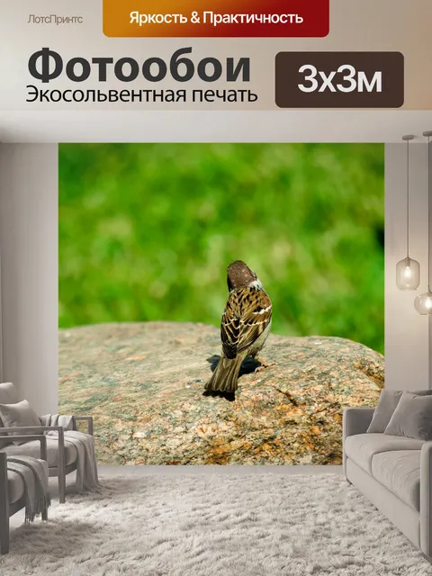 Фотообои Воробей