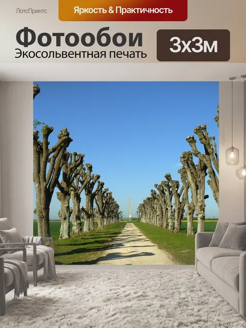 Фотообои Франция