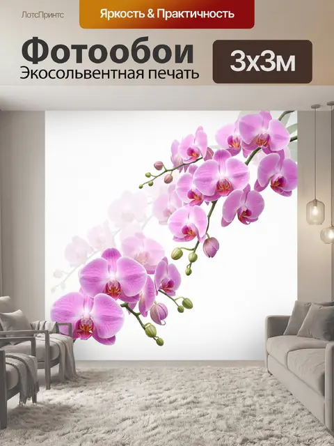 Фотообои Розовые орхидеи на белом фоне