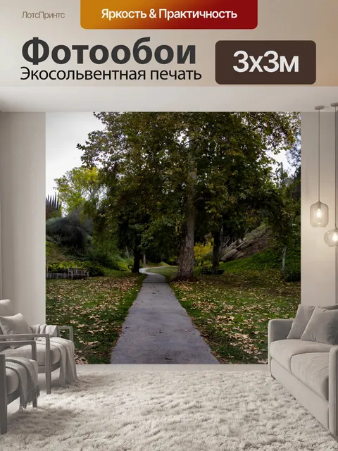 Фотообои Путь через деревья