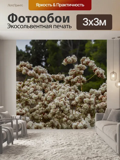 Фотообои Цветы в открытом поле