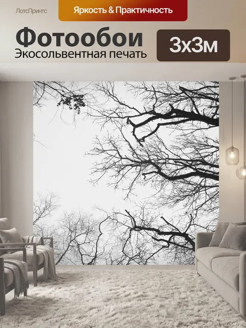 Фотообои Туман