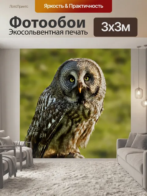 Фотообои Птица
