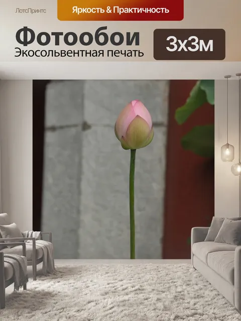 Фотообои Lotus