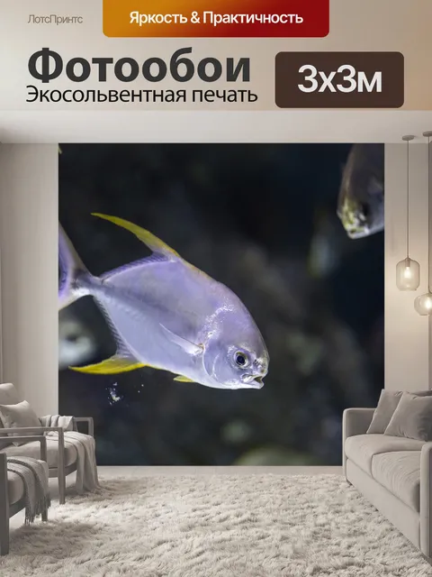 Фотообои Рыба