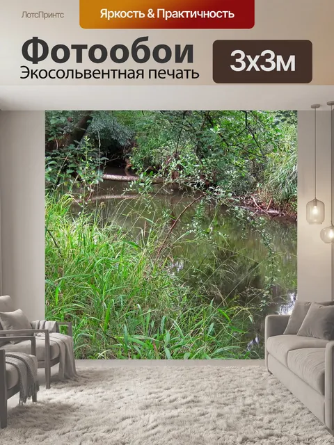 Фотообои Речной ручей с растительностью