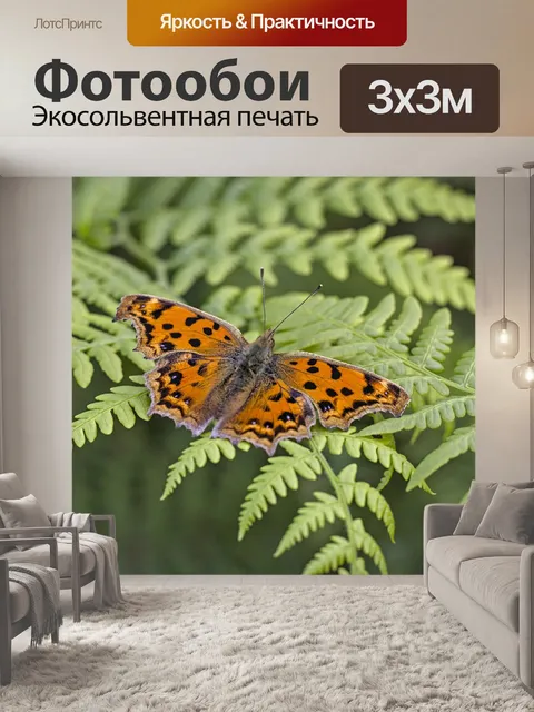Фотообои Бабочка