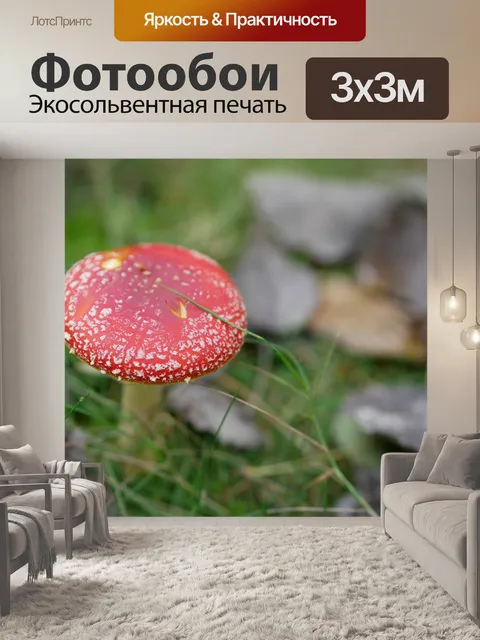 Фотообои Гриб