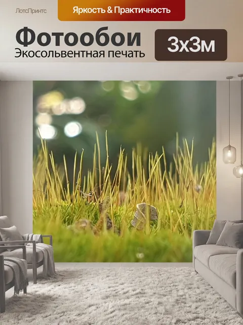 Фотообои Природа