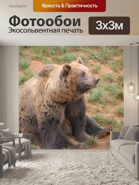 Фотообои Природа