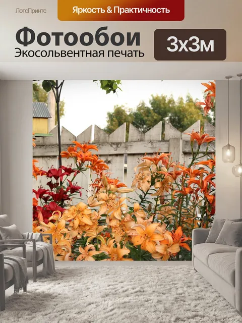 Фотообои Цветы лилии Цвет Hummingbird