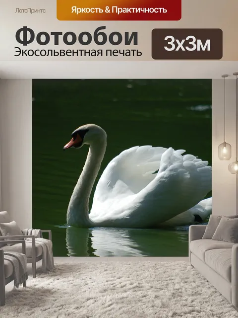 Фотообои Лебедь
