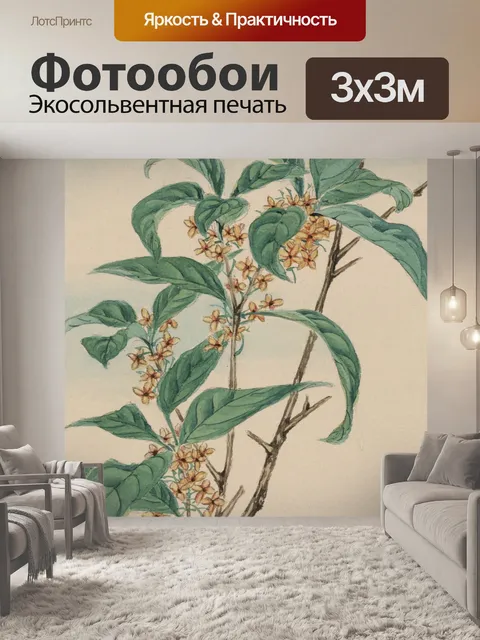 Фотообои Цветы