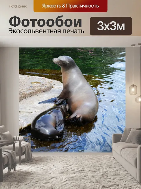 Фотообои Животное взломщик 15