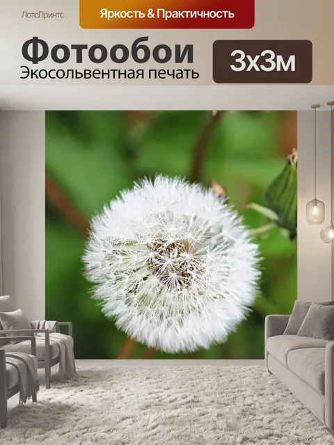 Фотообои Одуванчик