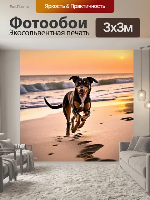 Фотообои изображение дворняги