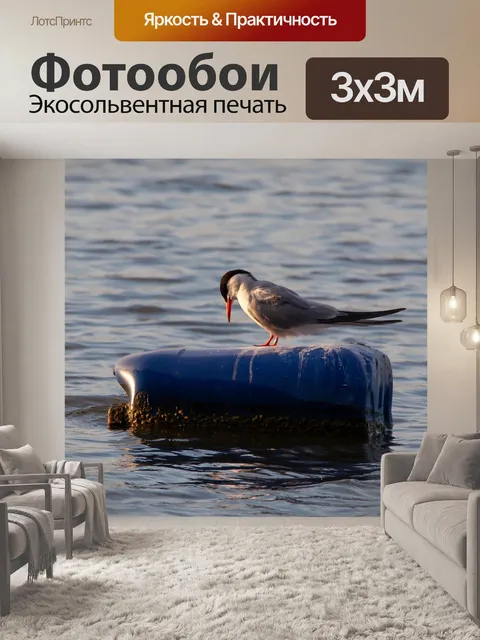 Фотообои Полярная крачка