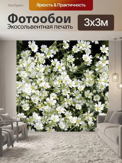 Фотообои Цветы
