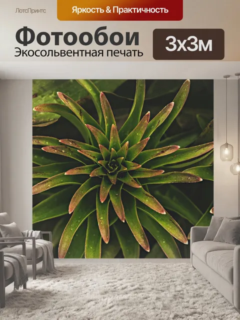 Фотообои Природа