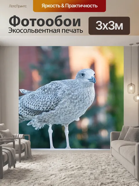 Фотообои Птица