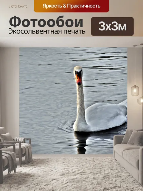 Фотообои Сюрреалистическая Swan