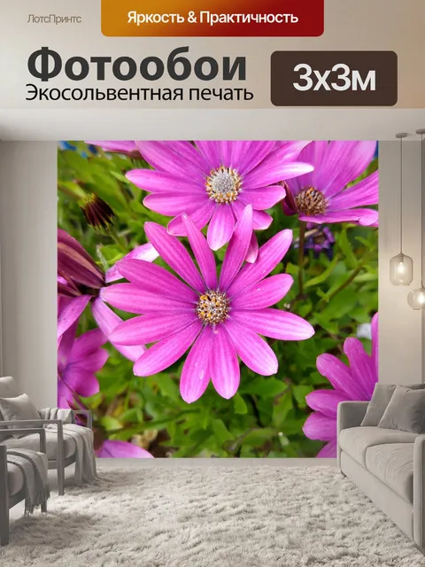 Фотообои Цветы
