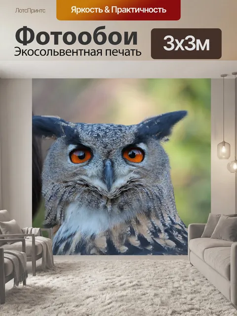 Фотообои Филин