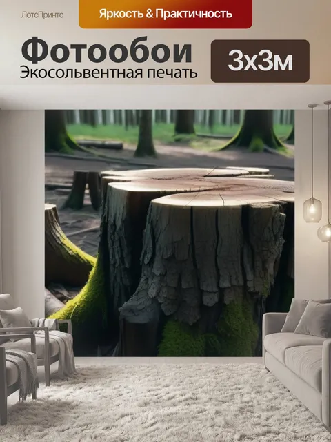 Фотообои эстетика древесных пней в лесу