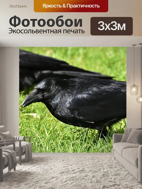Фотообои Ворона