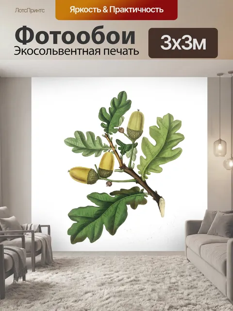 Фотообои Дубовый лист листва роспись искусства