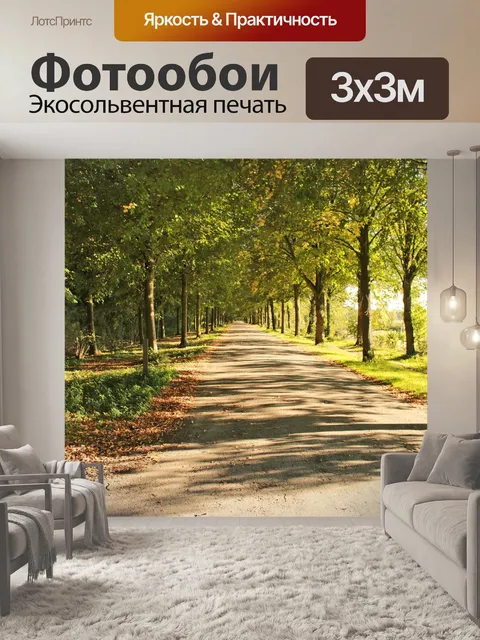 Фотообои Проспект