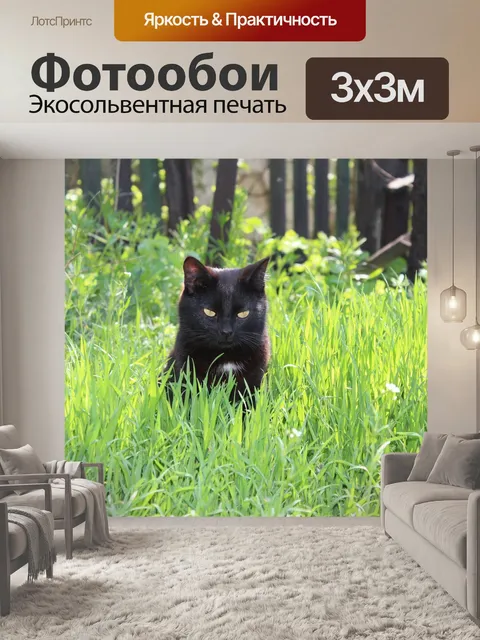 Фотообои Кошка