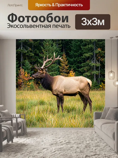 Фотообои Олень в лесной поляне