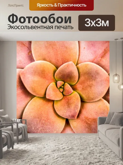 Фотообои Кактусовое пустынное растение