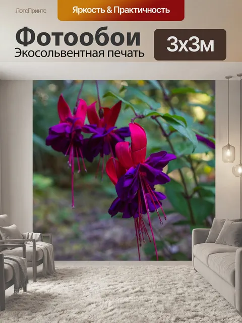 Фотообои Фуксия
