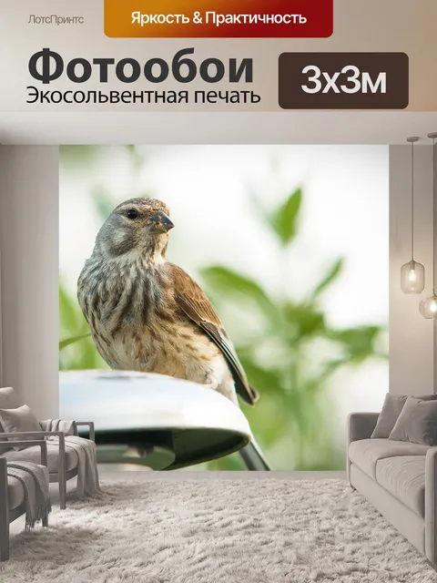Фотообои Птица