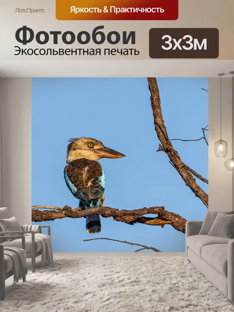 Фотообои Птицы
