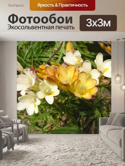 Фотообои Фрезии