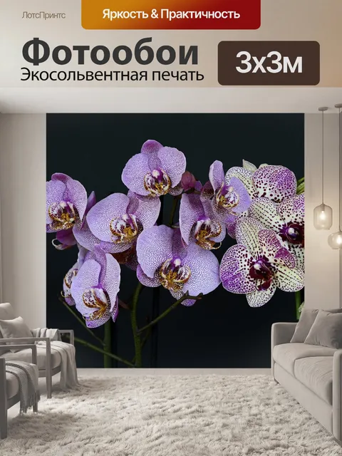 Фотообои Орхидеи