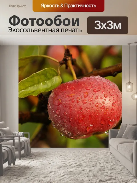 Фотообои Природа